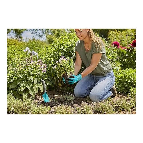  Gardena 08965-30 Basico herramientas para Plantar y trasplantar, cortar Flores y hierbas Contiene 8950, 8935, 8754, 206 Equipamiento, 17,0 x 11,2 x 41,0 cm, Estandar