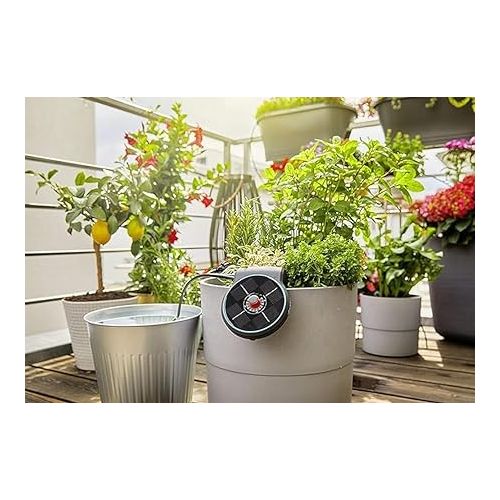  Gardena Solar-Powered Irrigation AquaBloom Set: A Solar-Powered Irrigation System for Your Balcony and tub Plants, up to 4 m high, All Year Long (13300-20)