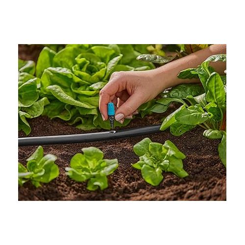  Gardena Micro-Drip-System Small Area Spray Nozzle: Spray Nozzle for Automatic Irrigation System, for Small Areas up to 40 cm in Diameter, Simple Connection to 13 mm Connecting Pipe (13306-20)