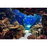 Gardenia backdrop Tropical Aquarium Backdrop for Photography Sea Plants Colorful Fishes 3D Underwater Photo Shoot Background Studio Props 10x6.5 ft