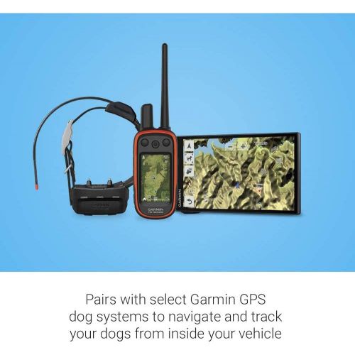 가민 Garmin DriveTrack 71 in-Vehicle Dog Tracker/GPS Navigator Bundle with LED Dog Collar and 1-YR CPS Enhanced Protection Pack (010-01982-00)