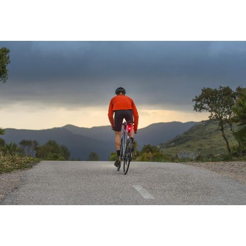 가민 Garmin Varia RTL515 Rearview Cycling Radar and Tail Light, UK/France
