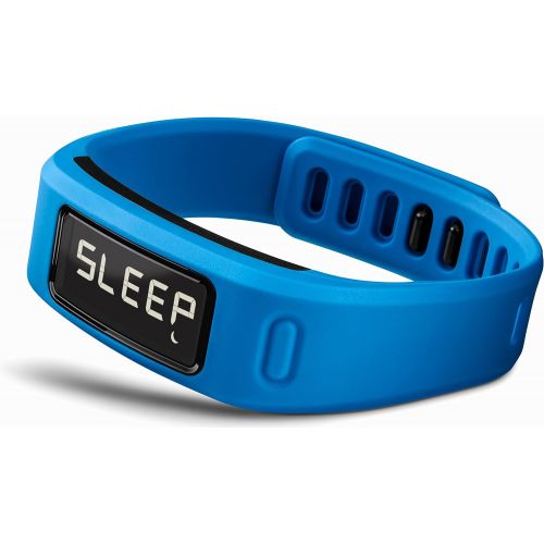 가민 Garmin vivofit Fitness Band - Blue