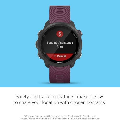 가민 Garmin Forerunner 245, GPS Running Smartwatch with Advanced Dynamics, Berry