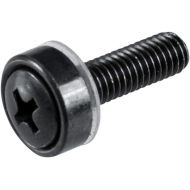 Gator Rackworks Standard Size Rack Screws; 25 Pack (GRW-SCRW025) , Black