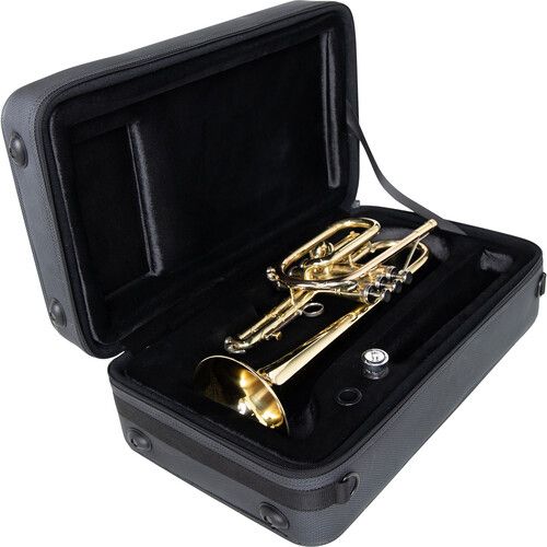  Gator Adagio Series Shaped EPS Polyfoam Lightweight Case for Cornet (Black)