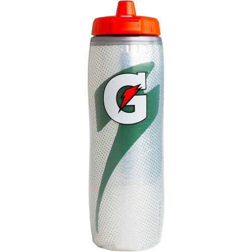  Gatorade Insulated Squeeze Bottle, 30oz, Silver, BPA Free, Double-Wall Insulation