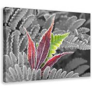 Colored Leaf Of A Japanese Maple With Ferm, Partial Col ... Poster Canvas Poster Wall Art Decor Print Picture Paintings for Living Room Bedroom Decoration Frame: Frame:16x24inch(40x60cm)