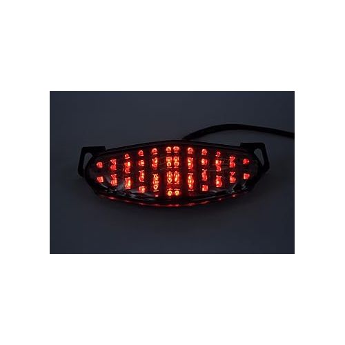 제네릭 LED Tail Light Integrated Turn Signals Compatible for Kawasaki 2009-2011 Ninja 650,ER650 ER-6N,ER-6F,11-13 ER400 ER-4N,Ninja 400R (Styles 1: Integrated LED Tail Lights with Turn Signals(INT), Smoke)