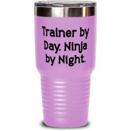 Generic Trainer by Day. Ninja by Night. Trainer 30oz Tumbler, Nice Trainer, Insulated Tumbler For Colleagues