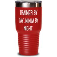 Generic Cheap Trainer 30oz Tumbler, Trainer by Day. Ninja by Night, Present For Coworkers, Unique From Coworkers