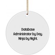 Generic Motivational Database Administrator Gifts, Database Administrator by Day. Ninja by., Useful Christmas Circle Ornament Gifts for Coworkers