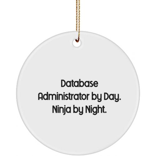 제네릭 Generic Motivational Database Administrator Gifts, Database Administrator by Day. Ninja by., Useful Christmas Circle Ornament Gifts for Coworkers