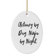 Generic Unique Actuary Oval Ornament, Actuary by Day. Ninja by Night., Present for Men Women, Funny Gifts from Colleagues