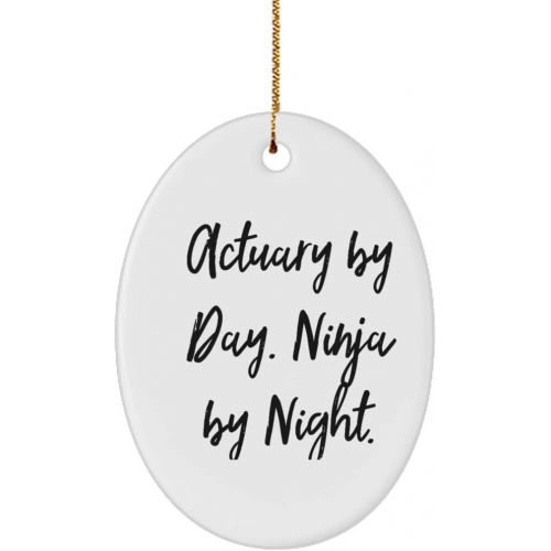 제네릭 Generic Unique Actuary Oval Ornament, Actuary by Day. Ninja by Night., Present for Men Women, Funny Gifts from Colleagues