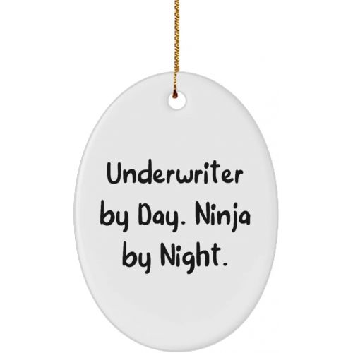 제네릭 Generic Inspirational Underwriter Oval Ornament, Underwriter by Day. Ninja by Night., Gifts for Coworkers, Present from Colleagues, for Underwriter