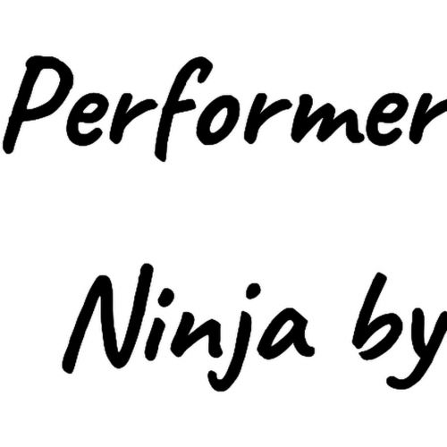 제네릭 Generic Sarcastic Performer Gifts, Performer by Day. Ninja by Night, Fun Candle For Men Women From Friends