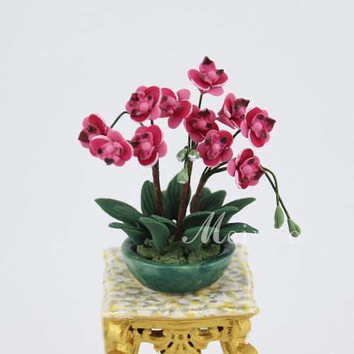 제네릭 Generic 1:12 Scale Dollhouse Beautiful Miniature Phalaenopsis Room Decoration