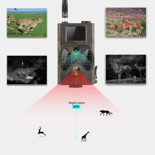 제네릭 Generic 12MP Photo Traps Email MMS GSM 1080P Night Vision Hunting Traps 2G Wild Hunting Camera Trail Camera Wildlife Camera Chasse