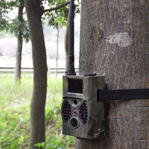 제네릭 Generic 12MP Photo Traps Email MMS GSM 1080P Night Vision Hunting Traps 2G Wild Hunting Camera Trail Camera Wildlife Camera Chasse