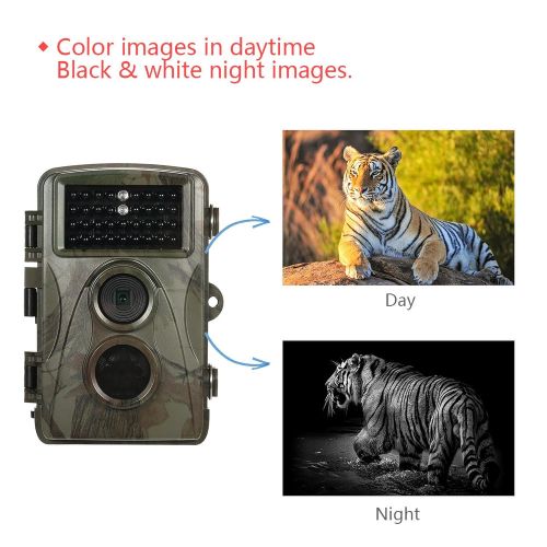 제네릭 Generic 12MP 720P Hunting Camera Waterproof Wild Trail Camera Infrared Night Vision Camera Animal Observation Recorder with Mount&Cable