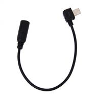 Generico Mini USB Mikrofonkabel Adapterkabel Fuer Gopro Hero4 / 3/3 +