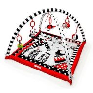 Portable Baby Play Gym and Activity Mat 0-6 Months, Easy Set Up and Take Down, High Contrast Graphics, Washable Fabric, Ideal for Tummy Time, Compact Size with Carrying Case