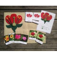 GeodesseeToys Parts of a Flower | Types of flowers with 3 Part Learning Cards