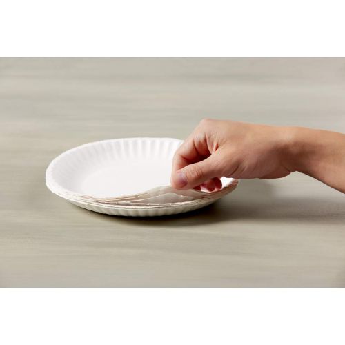  Dixie 6in Light-Weight Paper Plates by GP PRO (Georgia-Pacific), White, 702622WNP6, 1,000 Count (500 Plates Per Pack, 2 Packs Per Case)