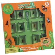 Constructive Playthings Geoworld Bugs World Collection, 12 Real Insects, Scientific Educational Toy