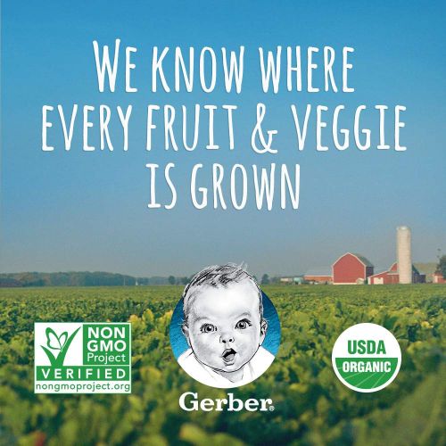  [아마존베스트]Gerber Organic 2nd Foods Baby Food, Fruit & Veggie Variety Pack, 3.5 Ounces Each, 18 Count