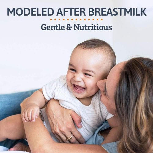  [아마존베스트]Gerber Good Start Gentle (HMO) Non-GMO Powder Infant Formula, Stage 1, 20 Ounce (Pack of 6)