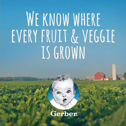 Gerber Purees 2nd Foods Veggie & Fruit Variety Pack, 8 Ounces, Box of 16 (packaging may vary)