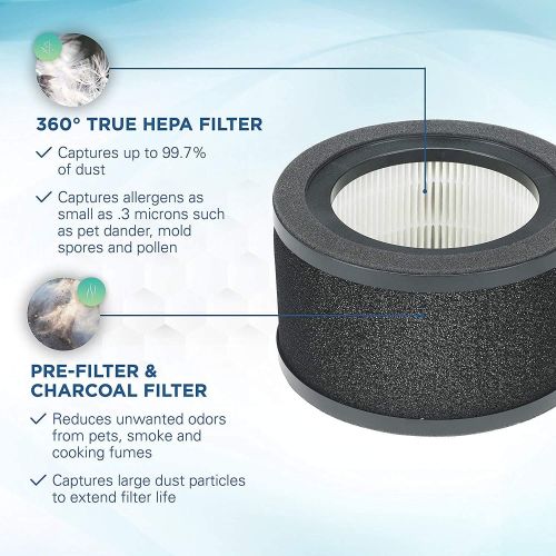  Germ Guardian True HEPA Filter Air Purifier with FLT4200 Genuine True HEPA Air Purifier Replacement Filter L for GermGuardian AC4200W