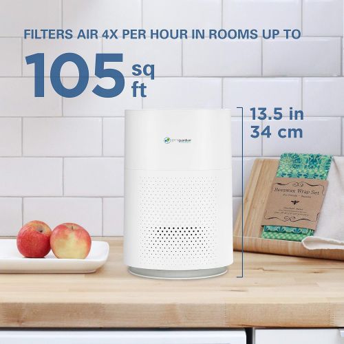  Germ Guardian True HEPA Filter Air Purifier for Home, Office, Bedrooms, Filters Allergies, Pollen, Smoke, Dust, Pet Dander, Mold, Activated Carbon Eliminates Odors and Deodorizes,