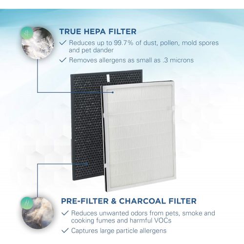  Germ Guardian FLT9200 True HEPA Genuine Air Purifier Replacement Filter H, and Carbon Combo Pack, for GermGuardian AC9200