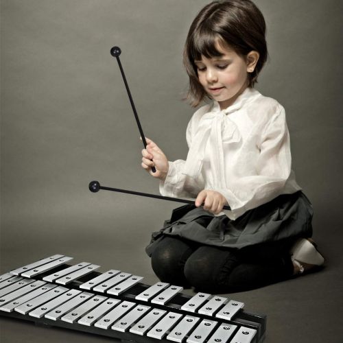 자이언텍스 Giantex Foldable Glockenspiel Xylophone 30 Note, with Wood Base and 30 Metal Keys, 2 Rubber Mallets, Carrying Bag, Professional Glockenspiel Xylophone Percussion Instrument for Adu