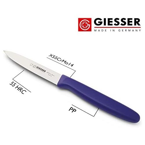  [아마존베스트]Johannes Giesser Messerfabrik Vegetable Knife for Non-Allergenic Food Knives, Grey, 10 m