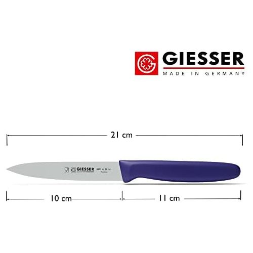  [아마존베스트]Johannes Giesser Messerfabrik Vegetable Knife for Non-Allergenic Food Knives, Grey, 10 m