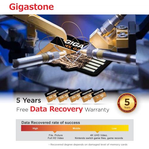  [5-Yrs Free Data Recovery] Gigastone 256GB Micro SD Card, 4K Game Turbo, MicroSDXC Memory Card for Nintendo-Switch, GoPro, Action Camera, DJI, UHD Video, R/W up to 100/60MB/s, UHS-