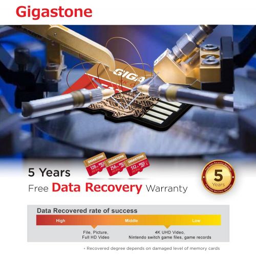  [5-Yrs Free Data Recovery] Gigastone 256GB Micro SD Card, Game Pro, MicroSDXC Memory Card for Nintendo-Switch, GoPro, Action Camera, DJI, 4K UHD Video, R/W up to 100/60MB/s, UHS-I