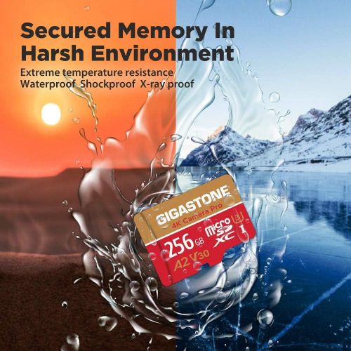  [5-Yrs Free Data Recovery] Gigastone 256GB 2-Pack Micro SD Card, 4K Video Recording for GoPro, Action Camera, DJI, Drone, Nintendo-Switch, R/W up to 100/50 MB/s MicroSDXC Memory Ca