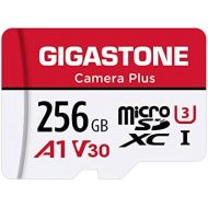 Gigastone 256GB Micro SD Card, Camera Plus, 4K UHD Video Recording, 4K Ultra HD Action Camera, with Adapter
