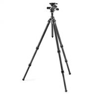 Gitzo Mountaineer Kit Series 2, 4 Sections in Carbon Fibre, with Fluid Head, Professional Photography Tripod, for DSLR and Reflex Cameras, Tripod for Video Cameras and Cameras, Hol