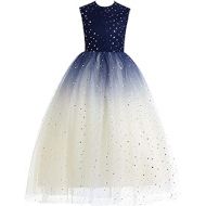 할로윈 용품Glamulice Lace Girls Wedding Dress Embroidered Flower Princess Sparkle Tulle Birthday Party Dresses 2-16Y