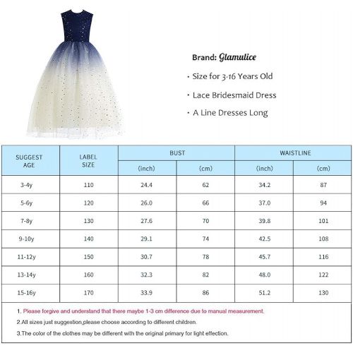  할로윈 용품Glamulice Lace Girls Wedding Dress Embroidered Flower Princess Sparkle Tulle Birthday Party Dresses 2-16Y