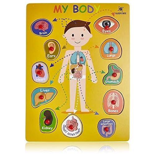  [아마존베스트]Gleeporte Wooden Peg Puzzle, My Body - Inside - Learning Educational Pegged Puzzle for Toddler & Kids (11 pcs)