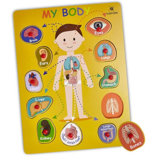  [아마존베스트]Gleeporte Wooden Peg Puzzle, My Body - Inside - Learning Educational Pegged Puzzle for Toddler & Kids (11 pcs)