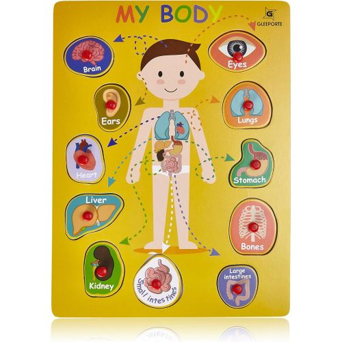  [아마존베스트]Gleeporte Wooden Peg Puzzle, My Body - Inside - Learning Educational Pegged Puzzle for Toddler & Kids (11 pcs)