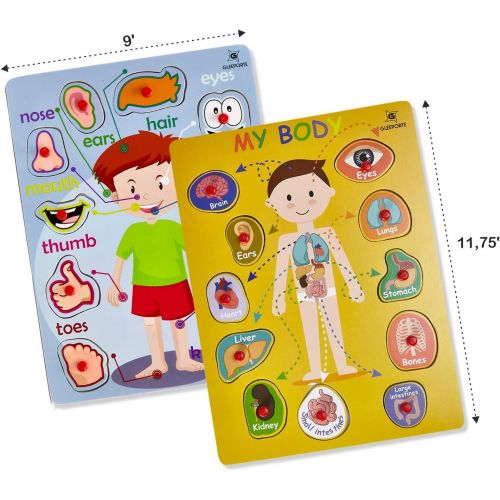  [아마존베스트]Wooden Peg Puzzle, My Body - Inside & Outside Parts - Pack of 2 Learning Educational Pegged Puzzle Boards for Toddler & Kids - (Set of 2) Gleeporte